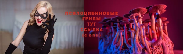 прущий лед Лиски